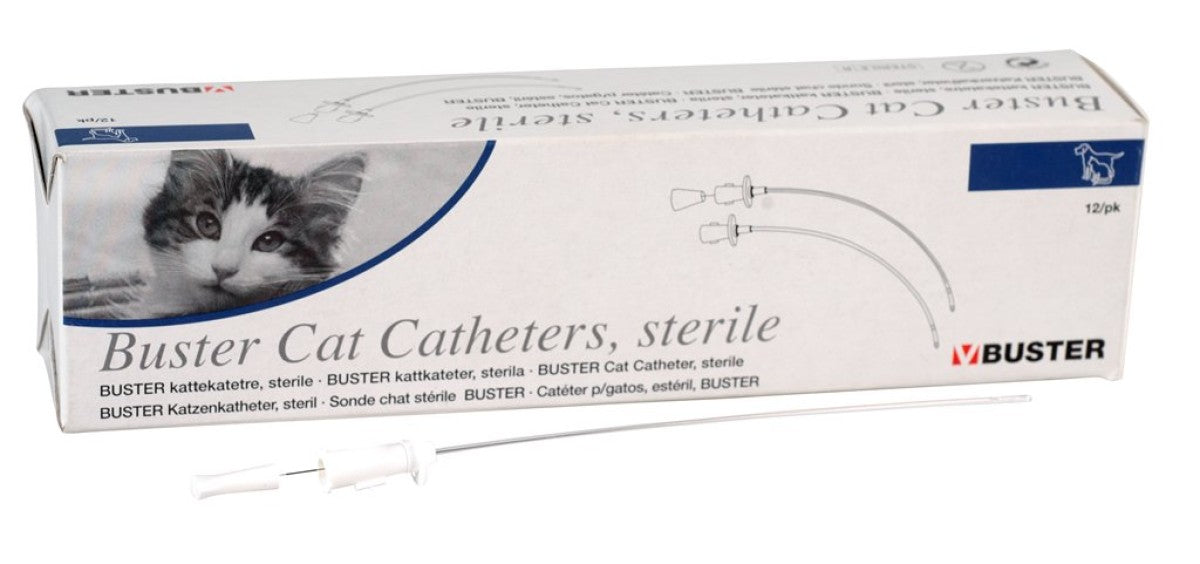 BUSTER sterile cat catheter without stylet 1.3 x 130 mm 4 FG