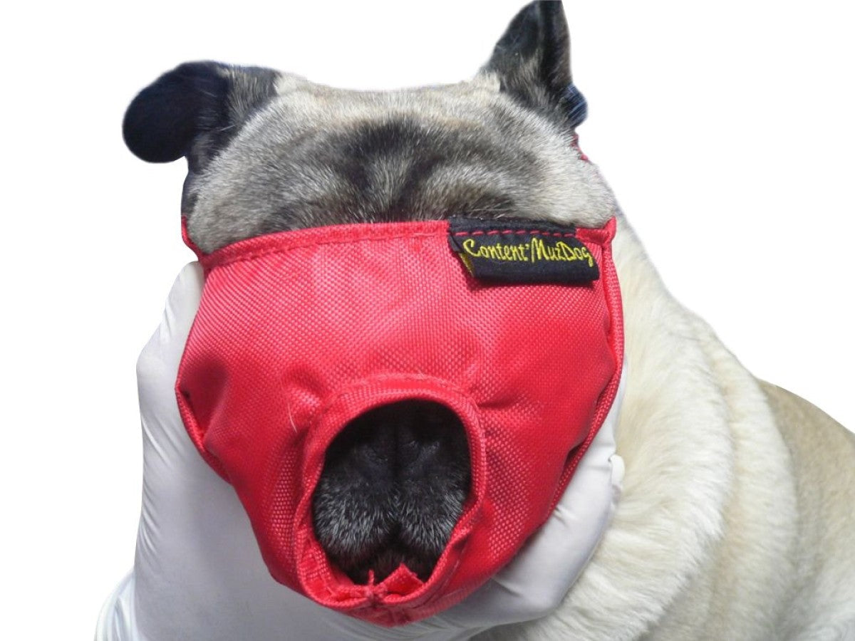 BUSTER Vet Nylon muzzle for brachycephalic dog, S