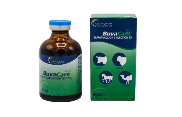 Buvacare5% 50ml - Shopivet.com