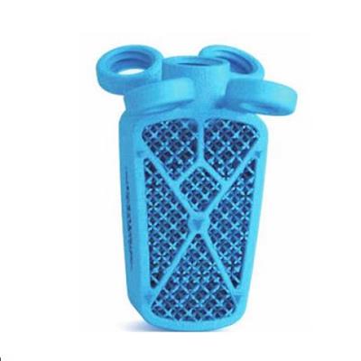 C - Lox Spinal Cage 20mm X 8mm X 12mm - Shopivet.com