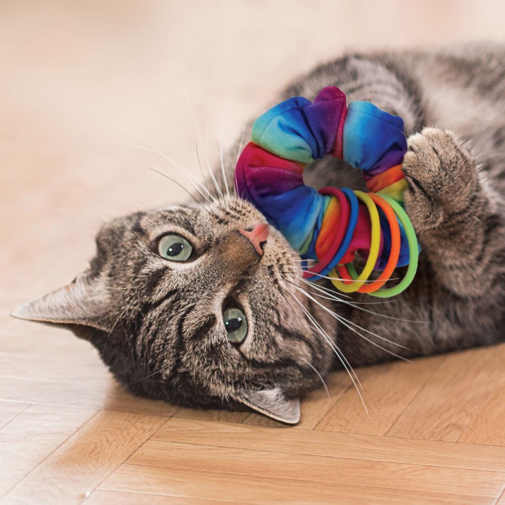 Kong Active Scrunchie Cat Toy -