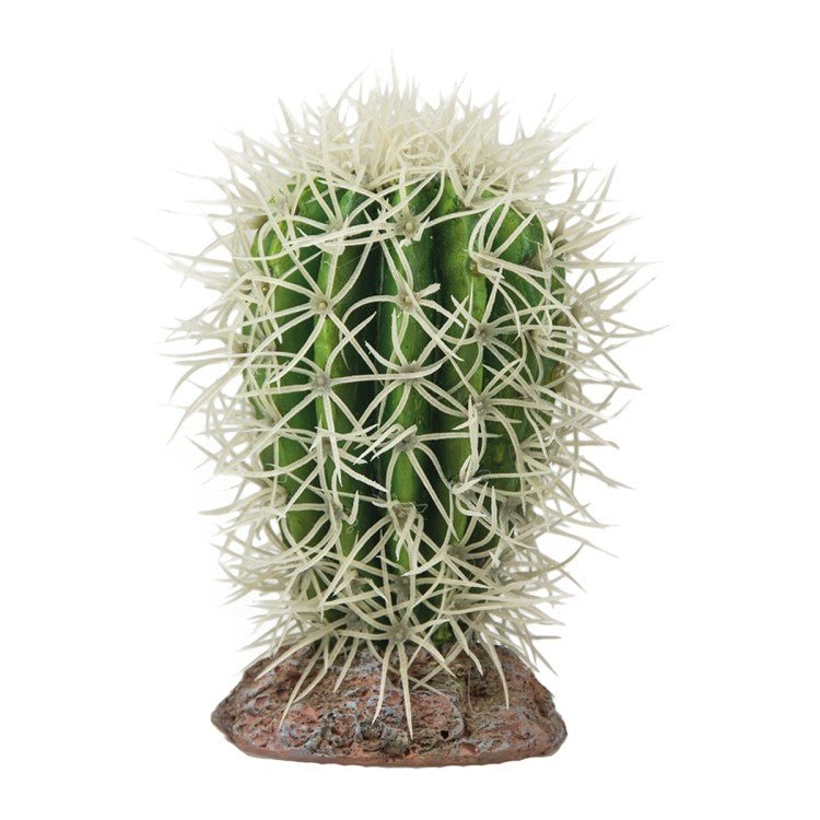 Cactus Great Basin - Shopivet.com