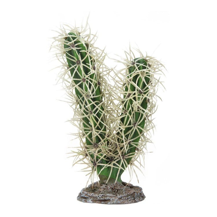 Cactus Simpson - Shopivet.com