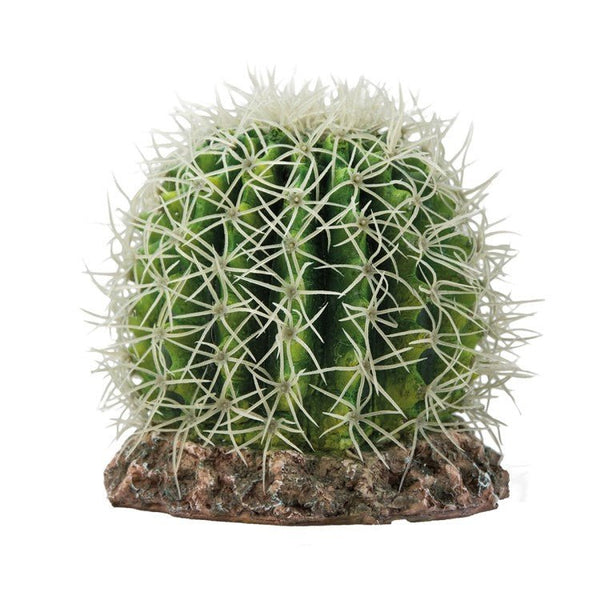 Cactus Sonora M - Shopivet.com