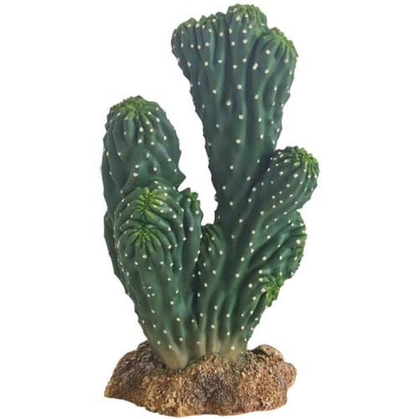 Cactus Victoria 19 cm - Shopivet.com