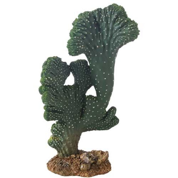 Cactus Victoria 22 cm - Shopivet.com