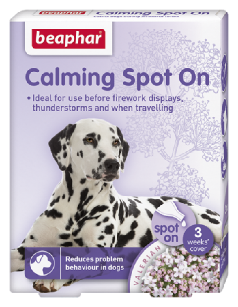 Dog Spot Rascal Calming Spot on Dog