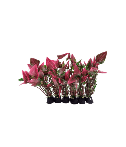 Camry Artificial Aquarium Plant Assorted (6pcs) 4 inch - Shopivet.com