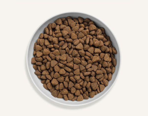 Canagan Country Game Dry Cat Food - 4KG - Shopivet.com