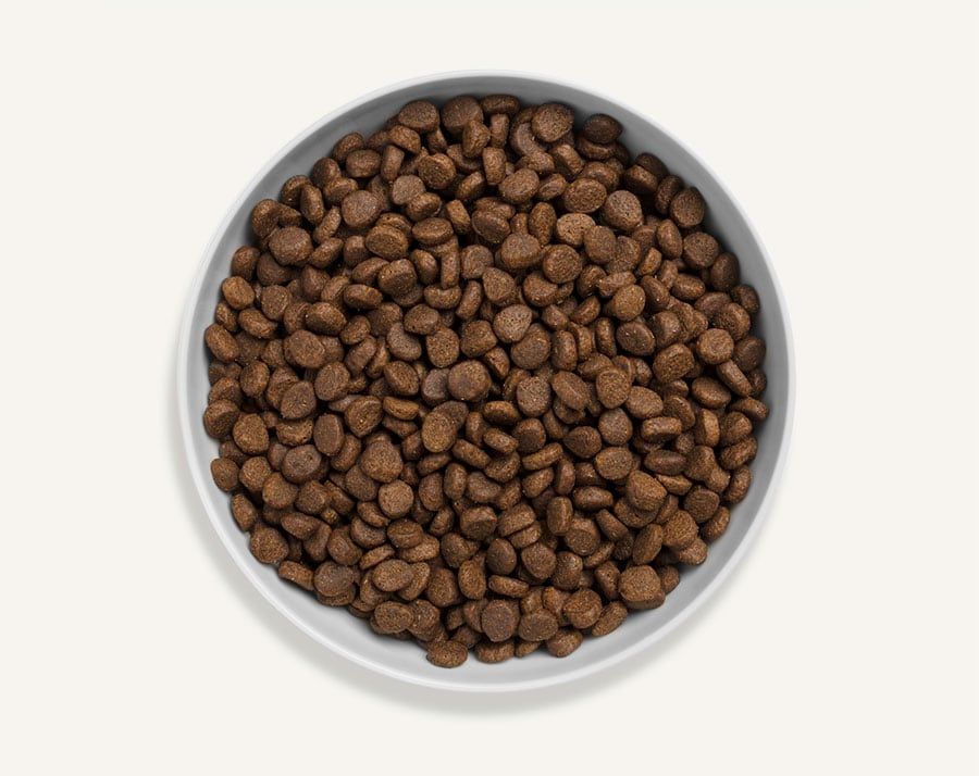 Canagan Dental Free Run Turkey Dry Cat Food - 4KG - Shopivet.com