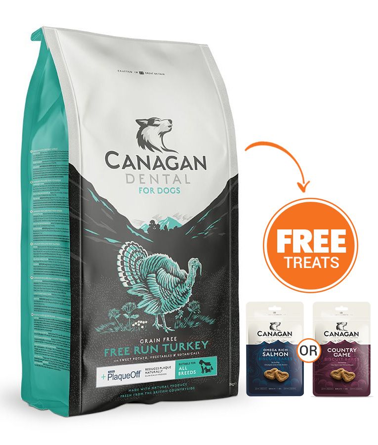Canagan Dental Free Run Turkey Dry Dog Food - 12kg - Shopivet.com