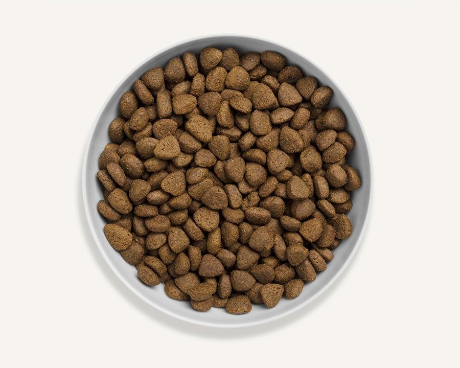 Canagan Free Range Chicken Dry Dog Food - 12kg - Shopivet.com