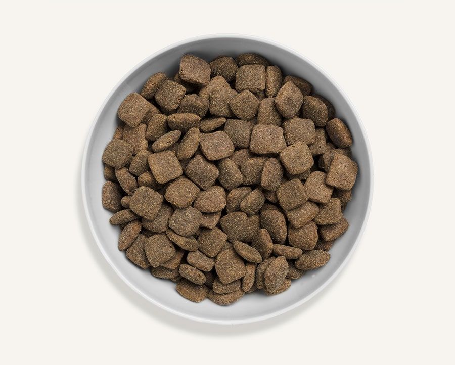 Canagan Grass - Fed Lamb Dry Dog Food - 12kg - Shopivet.com