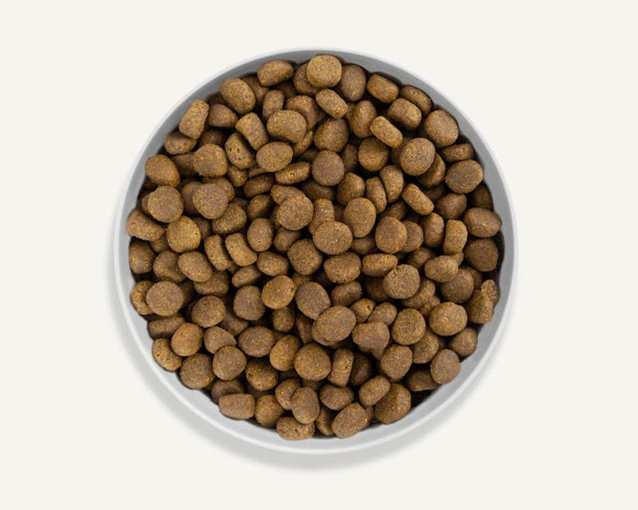 Canagan Highland Feast Dry Dog Food - 12kg - Shopivet.com