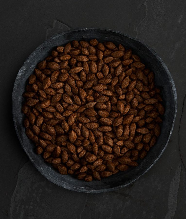 Canagan Insect Protein Dry Dog Food - 5KG - Shopivet.com