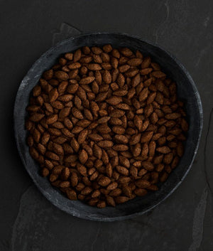 Canagan Insect Protein Dry Dog Food - 5KG - Shopivet.com