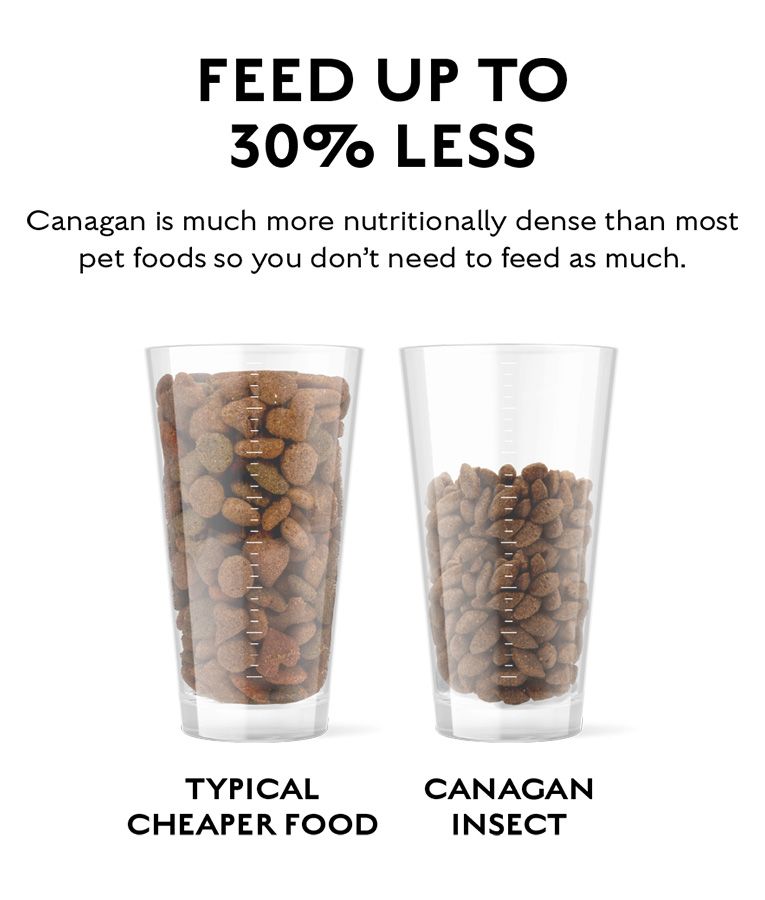 Canagan Insect Protein Dry Dog Food - 5KG - Shopivet.com