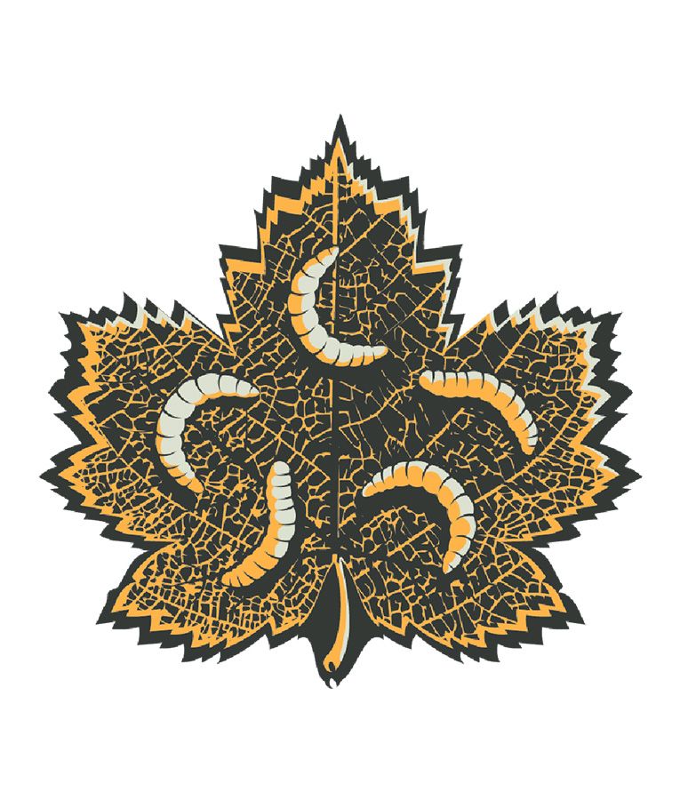 Canagan Insect Protein Dry Dog Food - 5KG - Shopivet.com