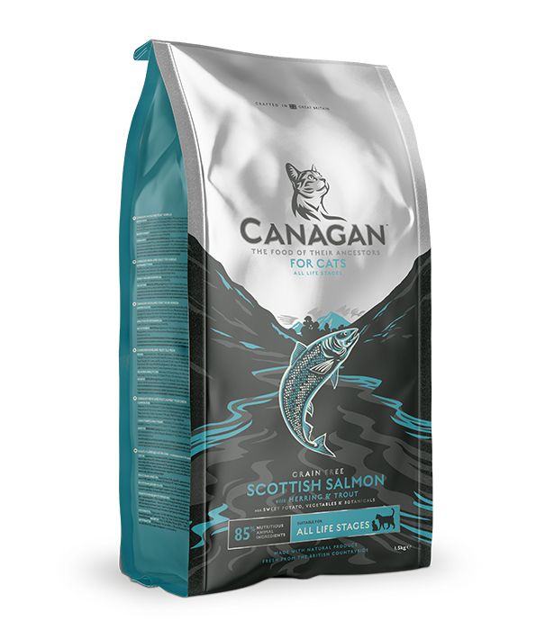 Canagan Scottish Salmon Dry Cat Food - 4KG - Shopivet.com