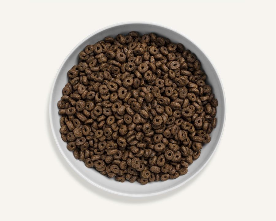 Canagan Scottish Salmon Small Breed Dry Dog Food - 2KG - Shopivet.com