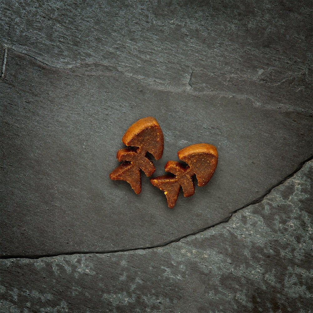 Canagan Softies Grain - Free Salmon Cat Treats 50g - 50g - Shopivet.com