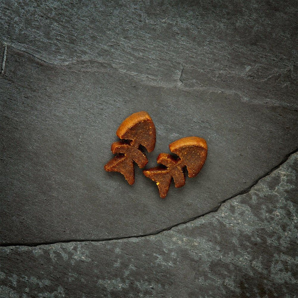 Canagan Softies Grain - Free Salmon Cat Treats 50g - 50g - Shopivet.com