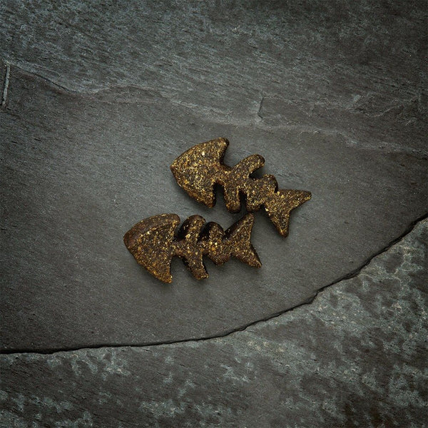 Canagan Softies Grain - Free Salmon Dog Treats 200g - 200g - Shopivet.com