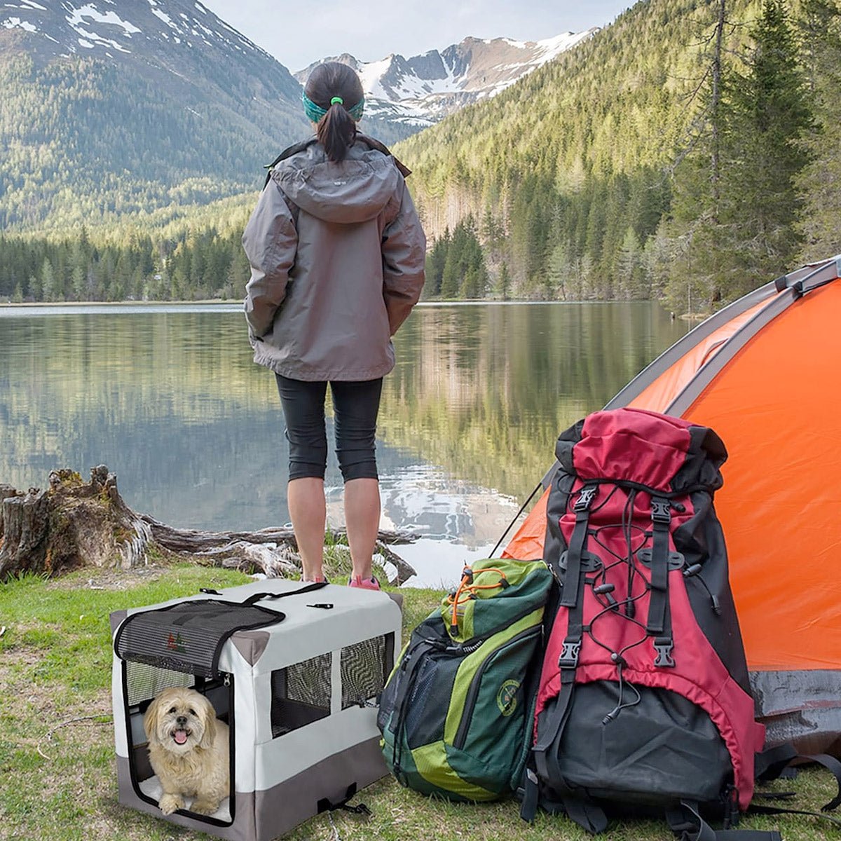 Canine Camper Sportable Tent Dog Crate, 42″ L X 26″ W X 32″ H - Shopivet.com