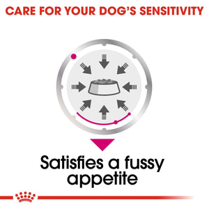 Canine Care Nutrition Exigent (WET FOOD- Pouches) 12 x 85g