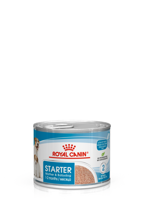 Canine Health Nutrition Starter Mousse (WET FOOD - Cans) 12 x 195g