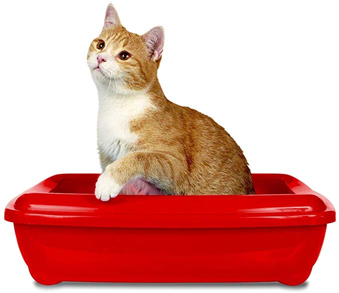 Cat Litter Attractant 255g - Shopivet.com