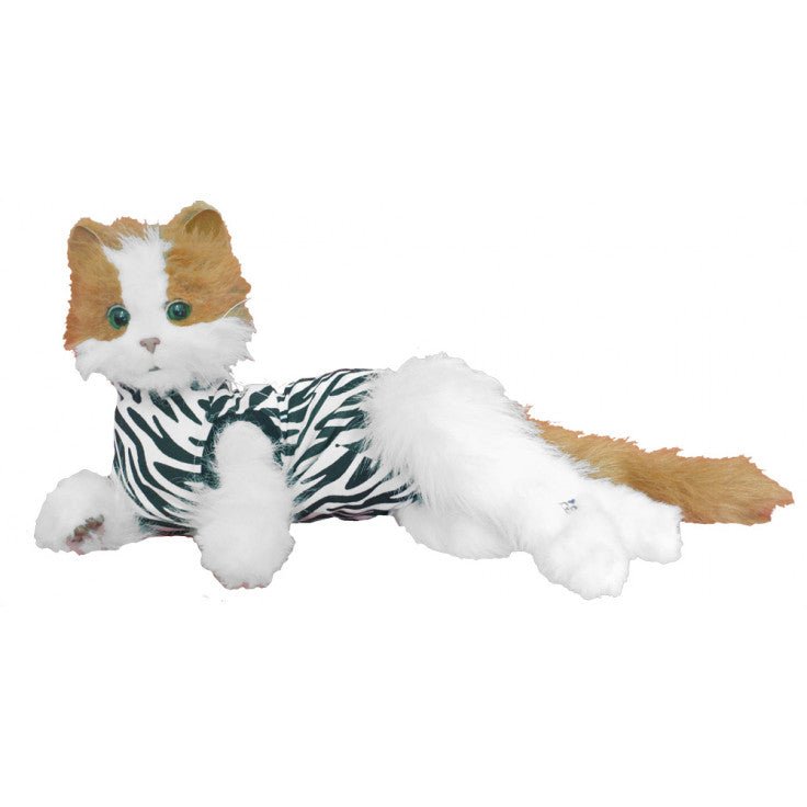 CAT MEDICAL SHIRT ZEBRA - Shopivet.com