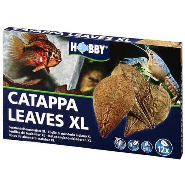 Catappa Leaves XL (12 pcs) - Shopivet.com