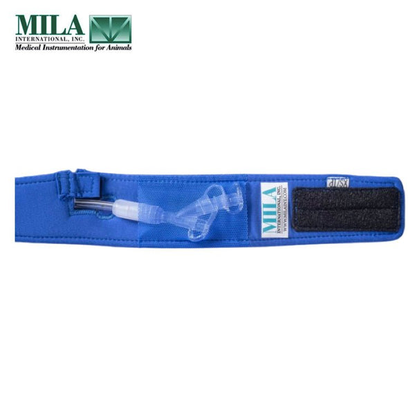 CathCollar - Neck Size 9.5 to 12in - Total Length 13in - Shopivet.com