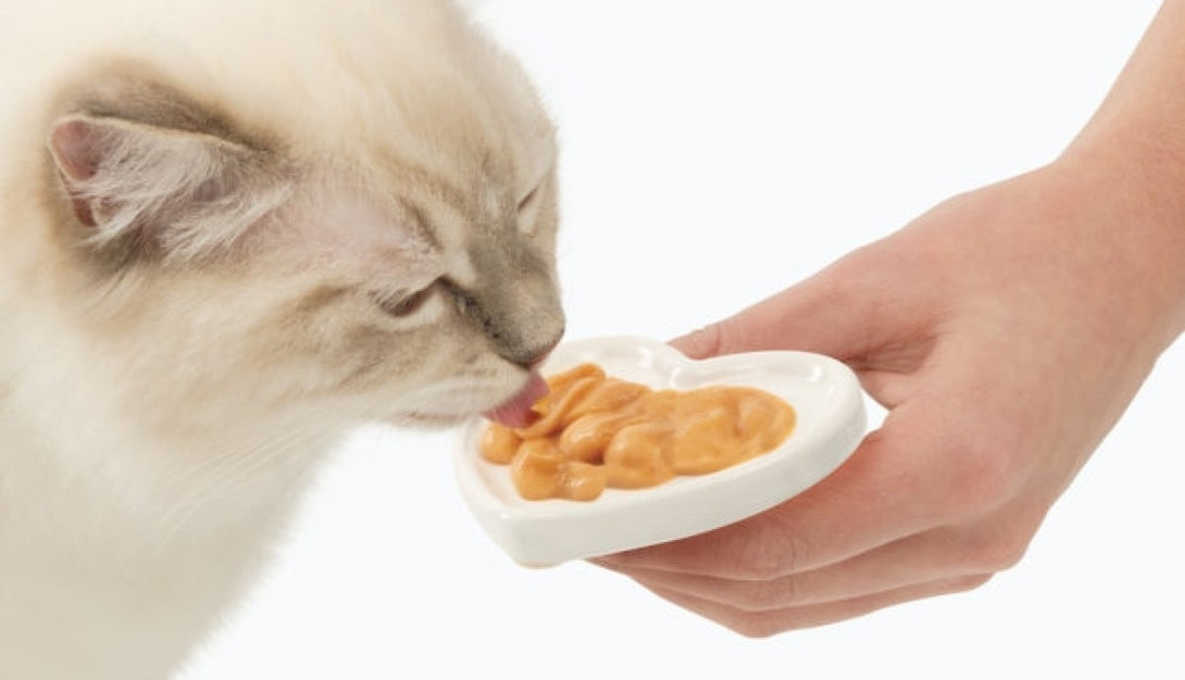 CatIt Creamy Lickable Treats - Salmon & Prawns