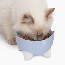 CatIt Pixi Drinking Fountain - Combo pack - Shopivet.com