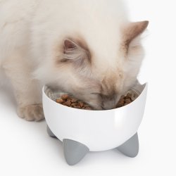 CatIt Pixi Drinking Fountain - Combo pack - Shopivet.com