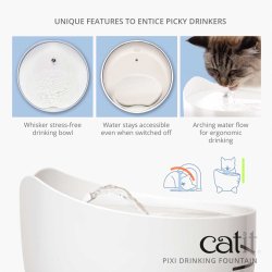 Catit PIXI Fountain 2.5L, White - Shopivet.com