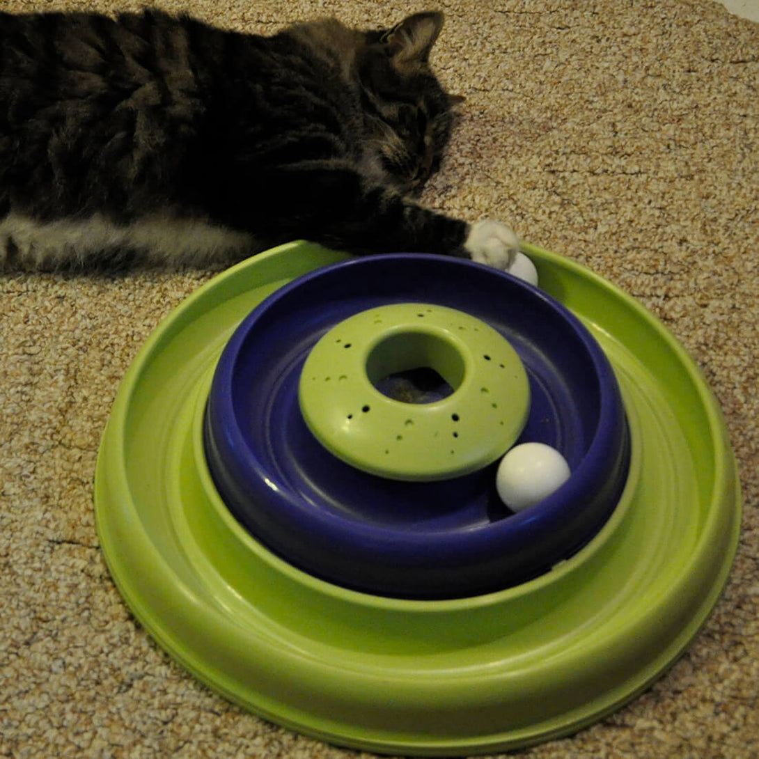 Catnip Hurricane Cat Toy - Shopivet.com