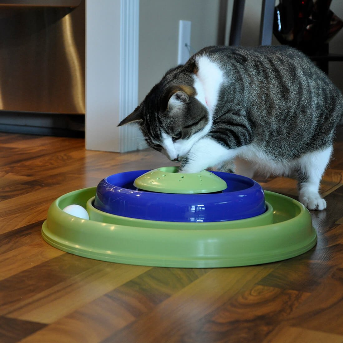 Catnip Hurricane Cat Toy - Shopivet.com