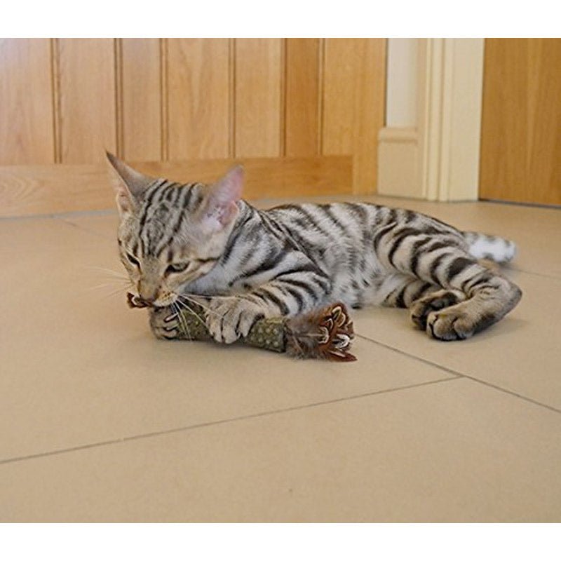 Catnip “Johnny Sticks” with Double Side Natural Feather - Shopivet.com