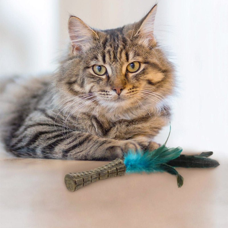 Catnip “Johnny Sticks” with Natural Feather (Green) - Shopivet.com