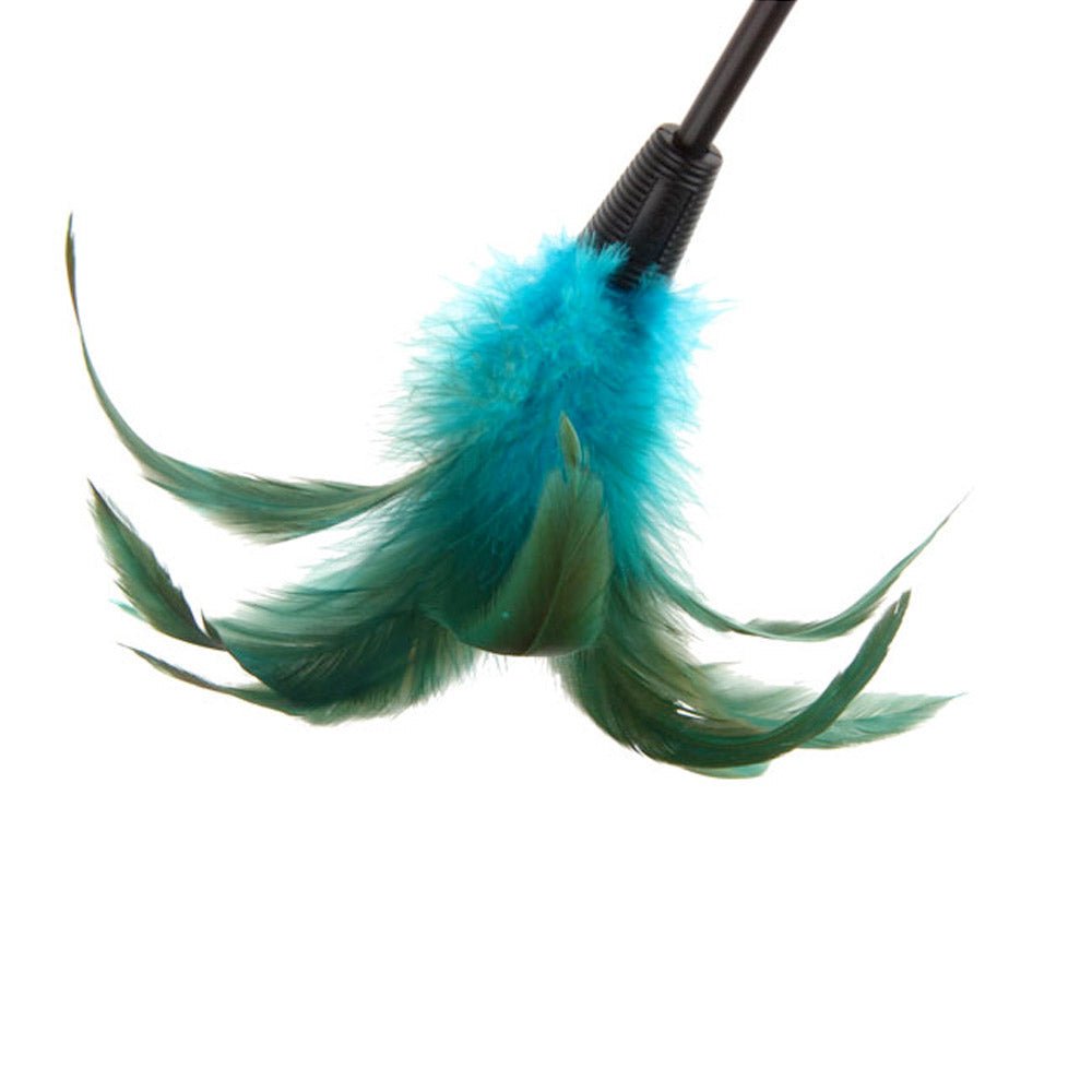 Catwand Feather Teaser w/ Natural Feather &TPR Handle - Shopivet.com