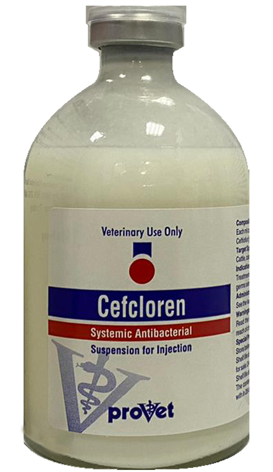Cefcloren 100ml