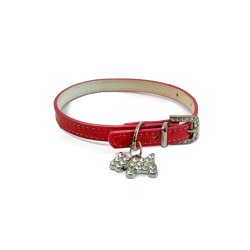 Charm Dog Collar 1 x 30 cm, Assorted Colors - Shopivet.com