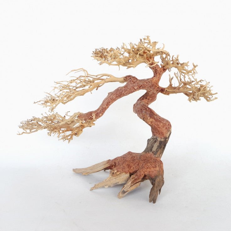 CLAW BONSAI WOOD - SMALL / 30X20X10CM / BOX - Shopivet.com