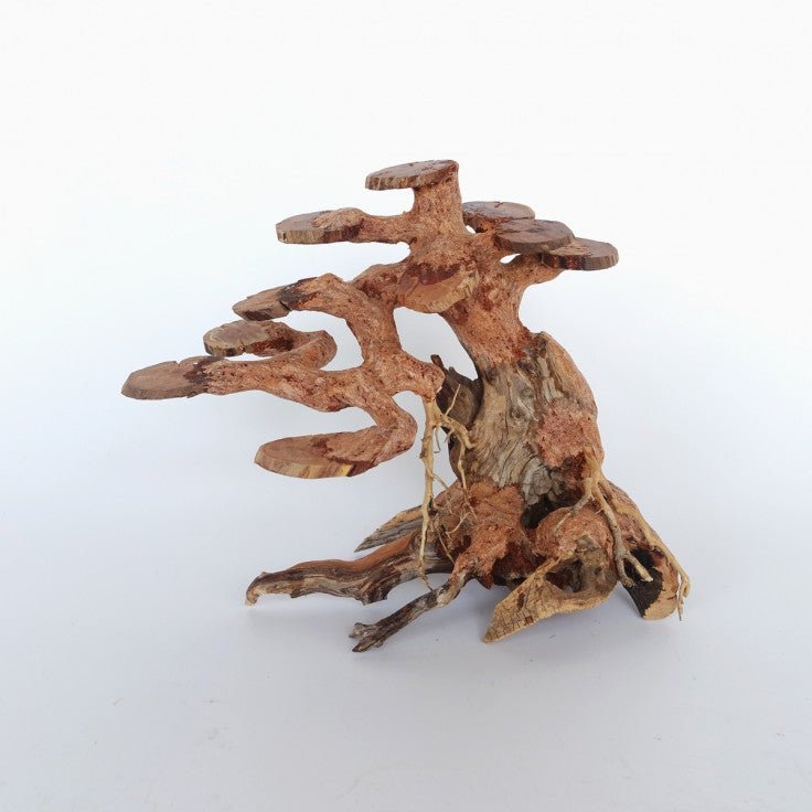 COPPER WOOD TREE - MEDIUM / 30X23X13CM / BOX - Shopivet.com