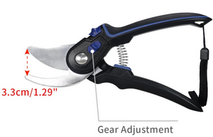 Coral Pruner