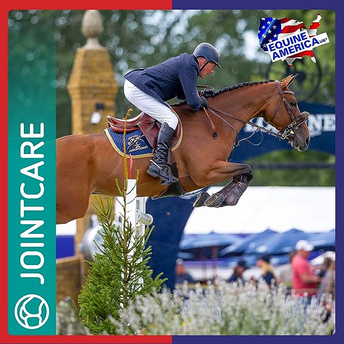 Cortaflex HA Super Fenn Powder 500g - Shopivet.com