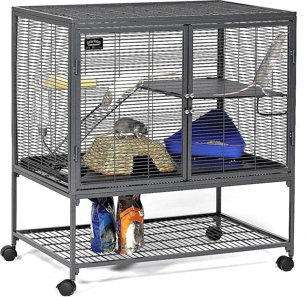 Critter Nation (Small Animal Habitat for Rats,Ferrets) - Shopivet.com